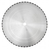 Dr Schulze BS-W H10 (750 мм) Алмазный диск 